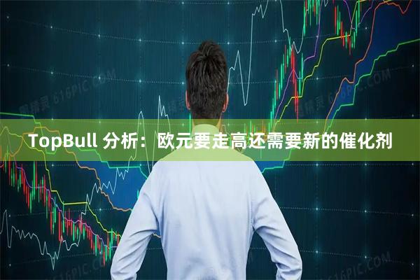 TopBull 分析：欧元要走高还需要新的催化剂